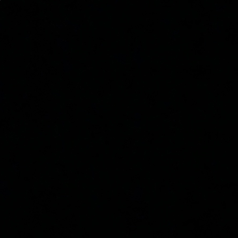 Meet your Posher, Alondra